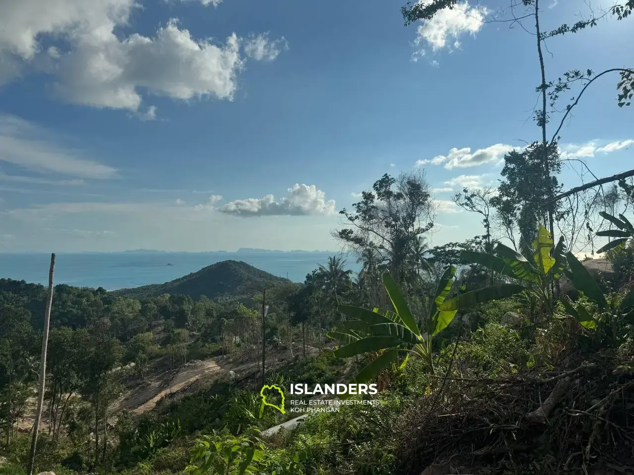 One of the last amazing seaview lands on the top of Haad Yao 1,5Rai (C 10)