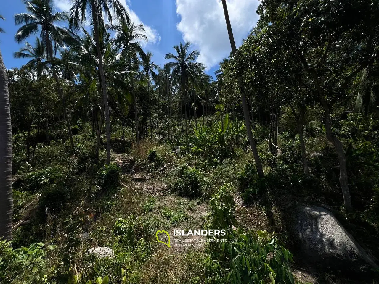 Sunset Seaview Plot: Prime Land for Sale in Baan Kai