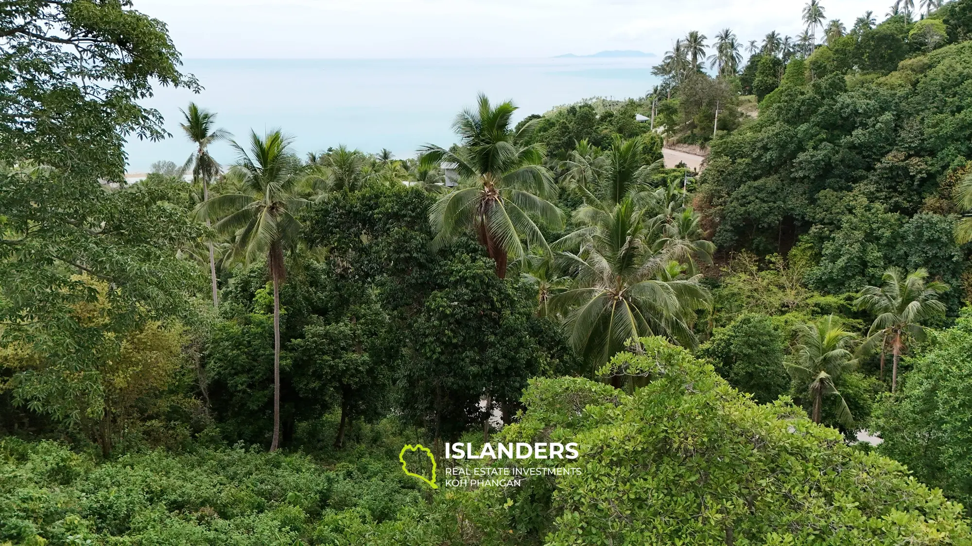 Grand terrain de jungle 6,5 RAI avec vue mer