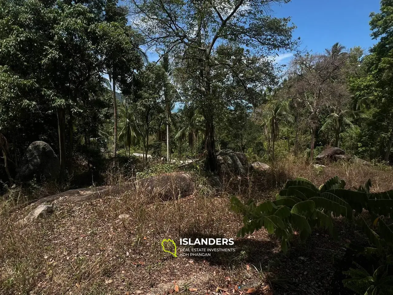 Terrain Exclusif Avec Vues Spectaculaires sur la Mer et la Montagne