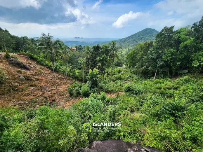 Sea view land. Haad Yao area.