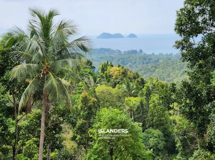 Sea view land. Haad Yao area.