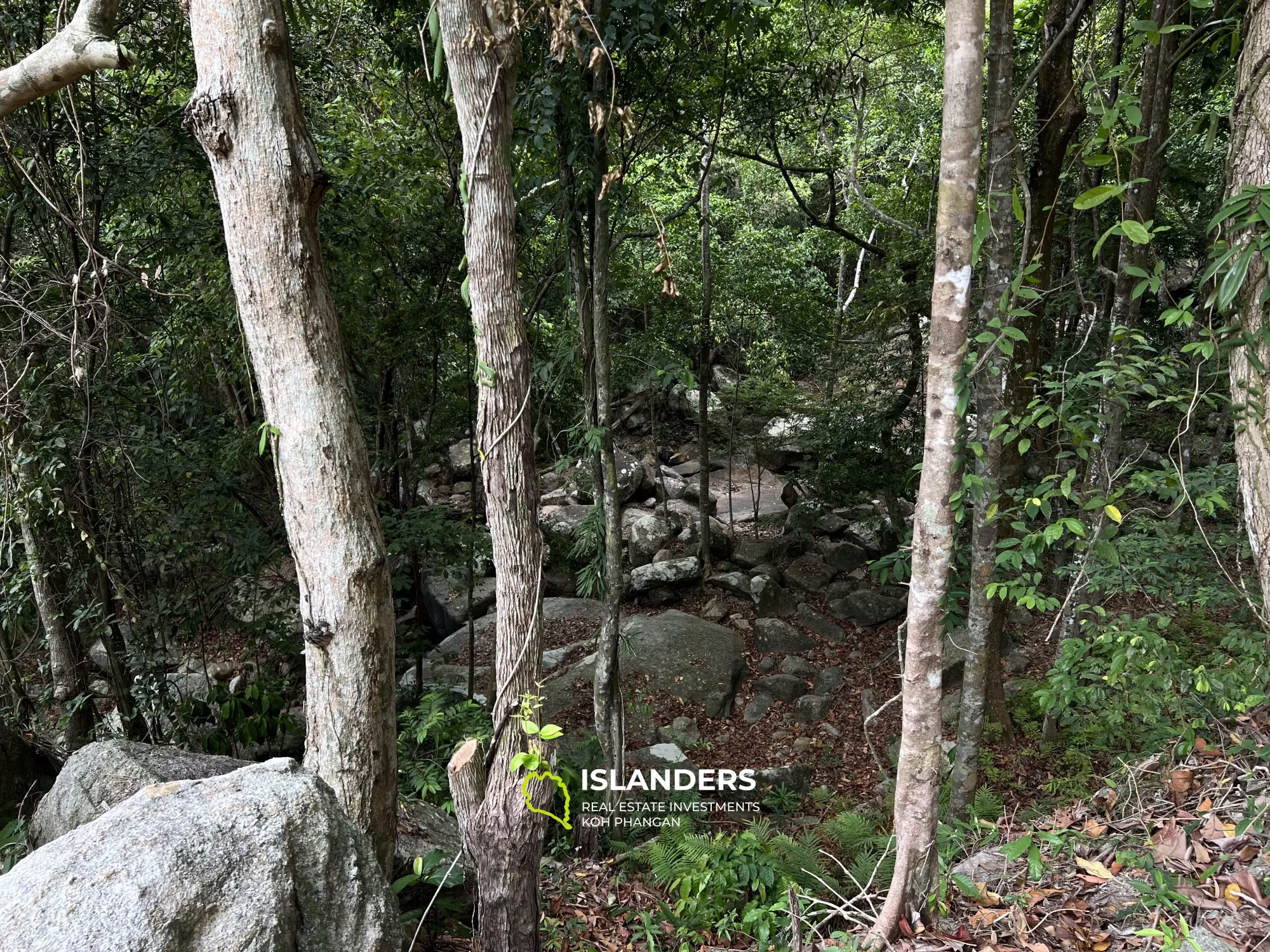 Wunderschönes Grundstück in Chaloklum, Grundstück 8.1: Meer- und Bergblick, angrenzend an den Nationalpark