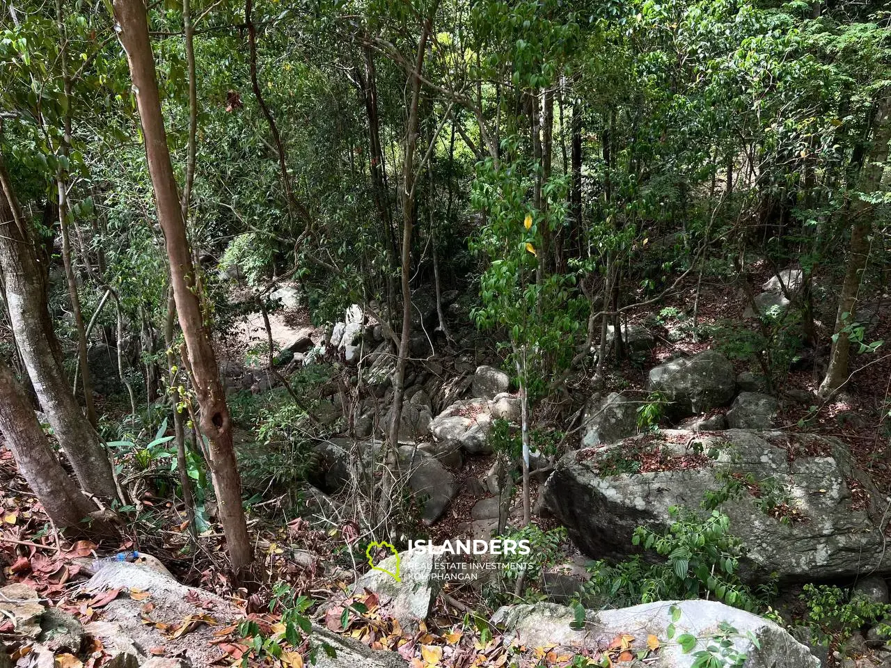 Parcelle de terrain pittoresque à Chaloklum, parcelle 2.2 : vue sur les montagnes et accès privé à la rivière de montagne