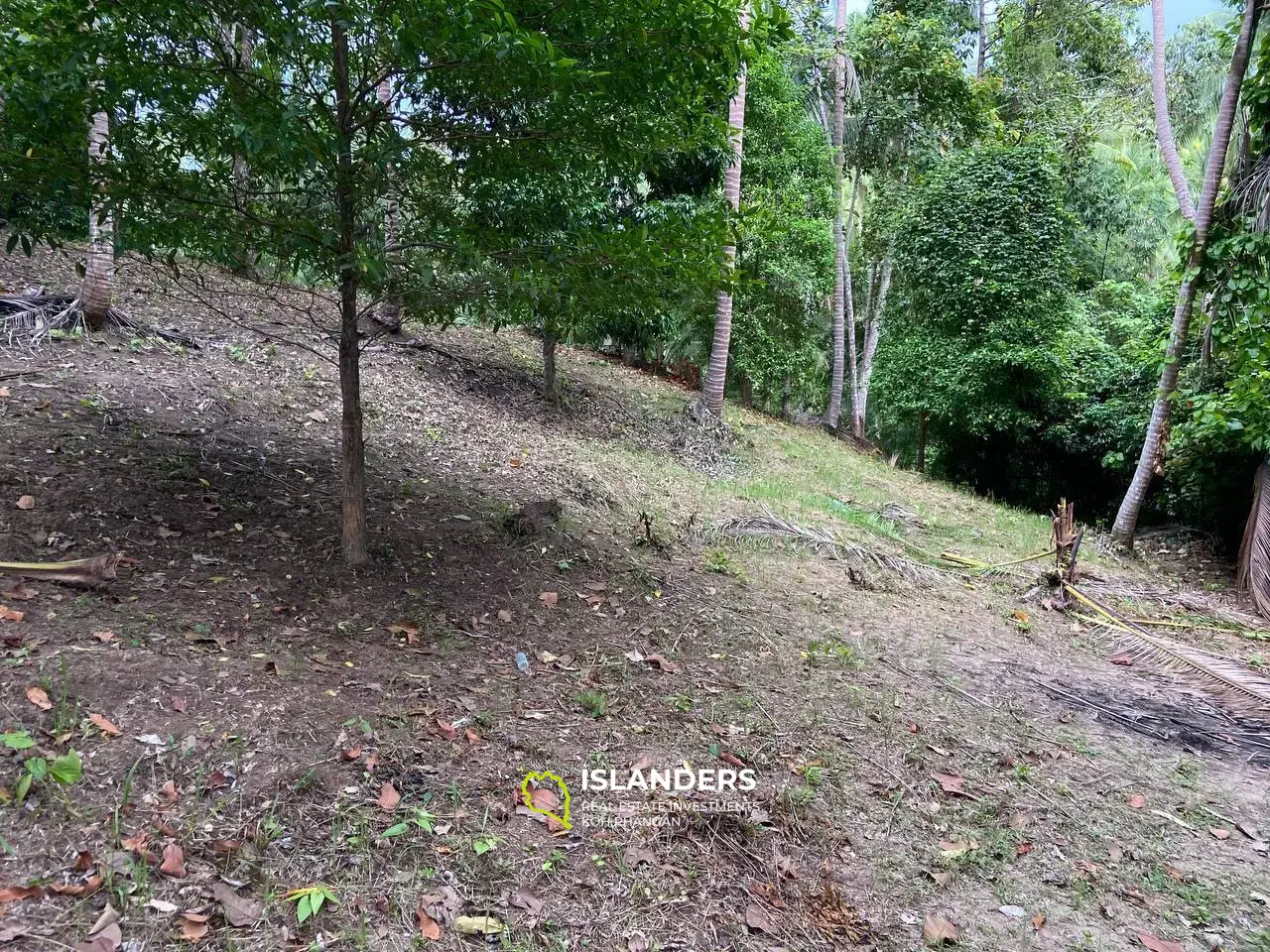 Erstaunliches Dschungelland in Baan Tai