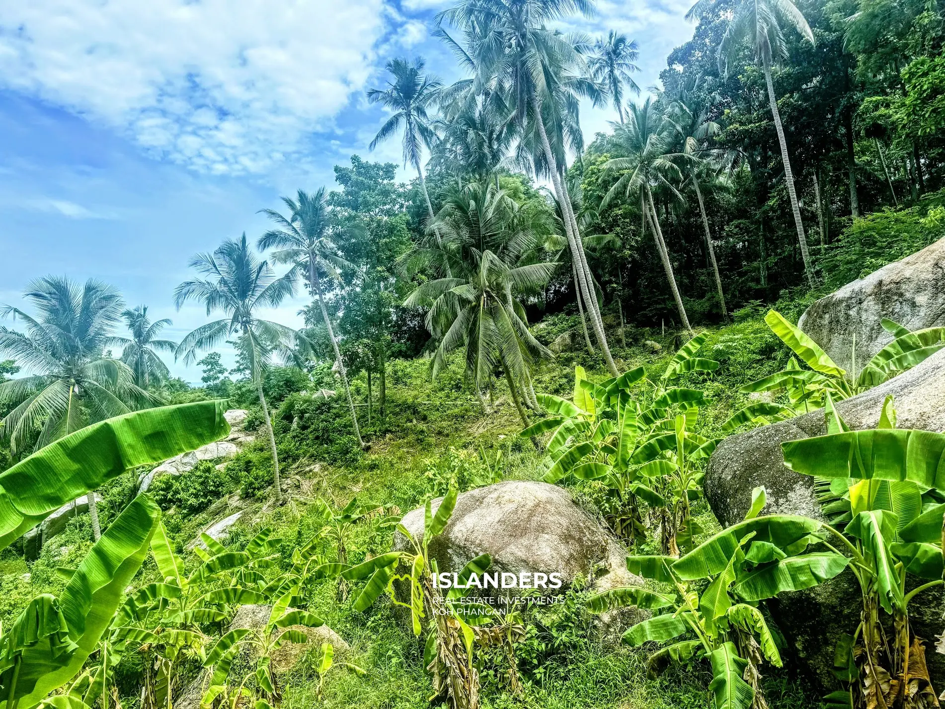 Terrain panoramique avec vue sur la mer à Baan Tai