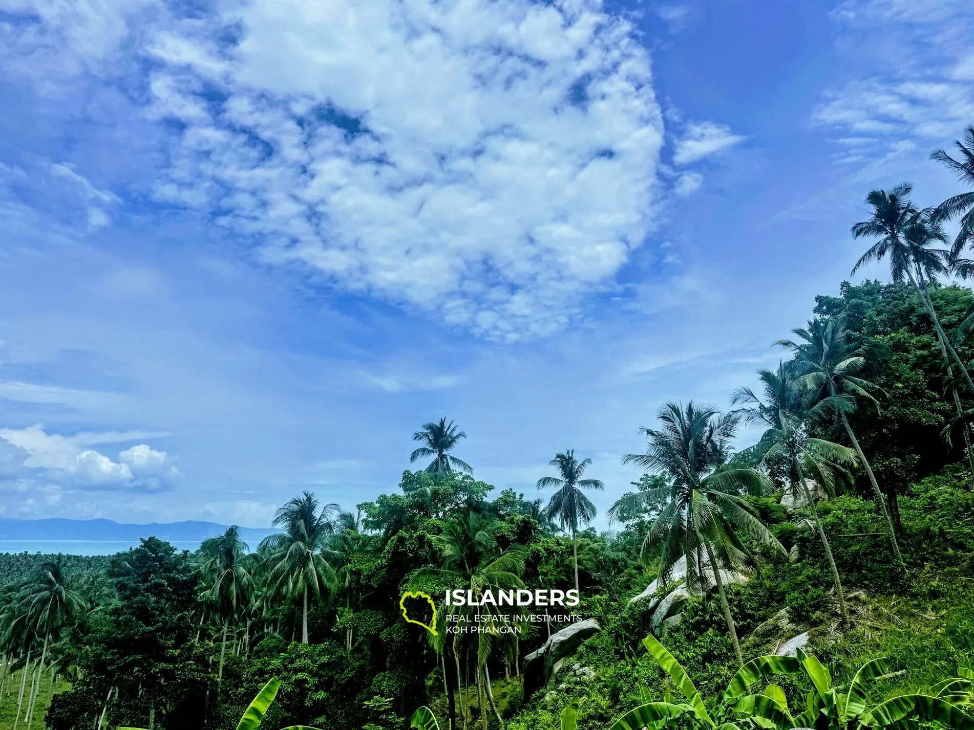 Amazing panorama Sea View land with rocks and fruit trees in quiet area