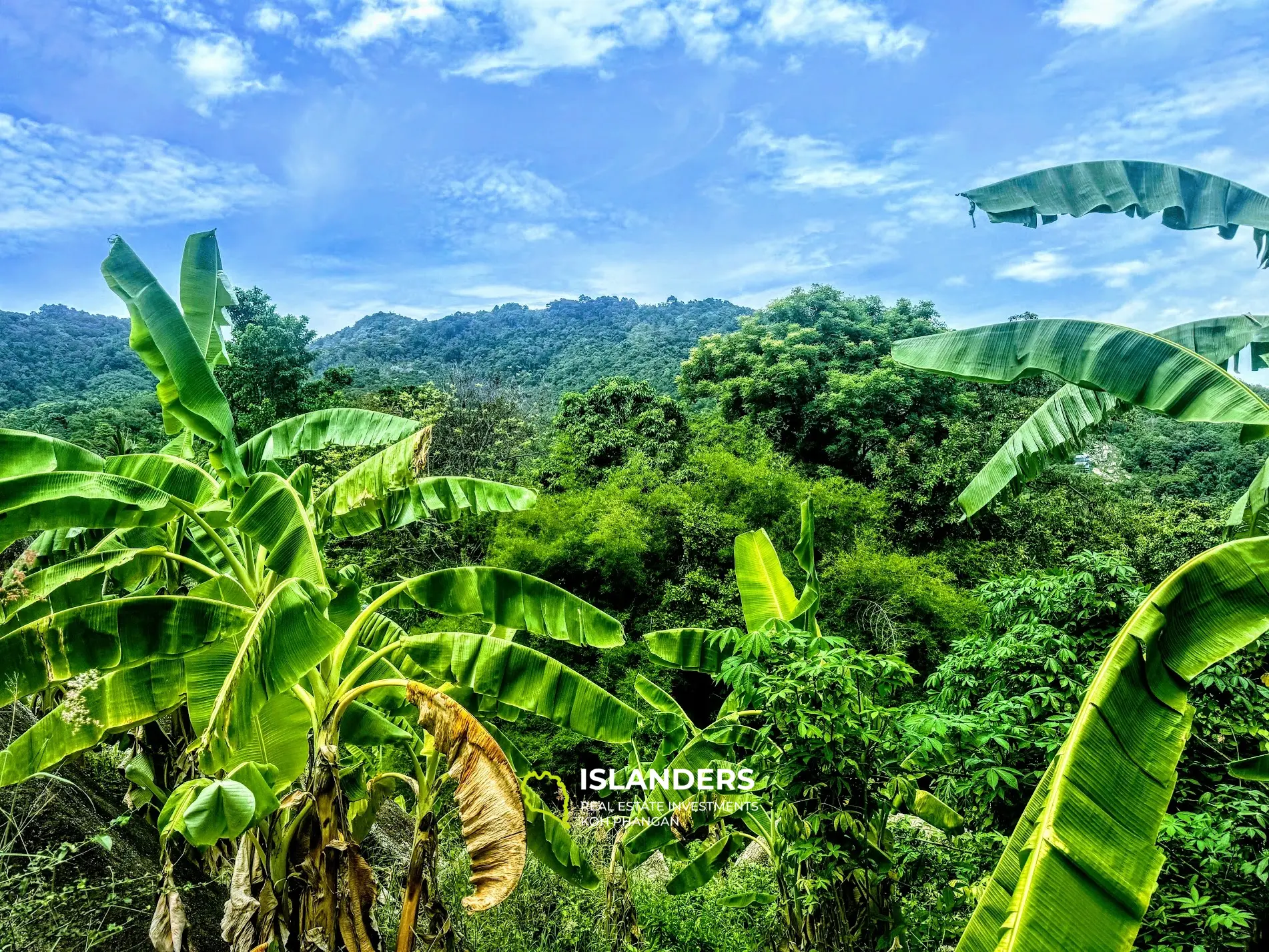 Terrain panoramique avec vue sur la mer à Baan Tai