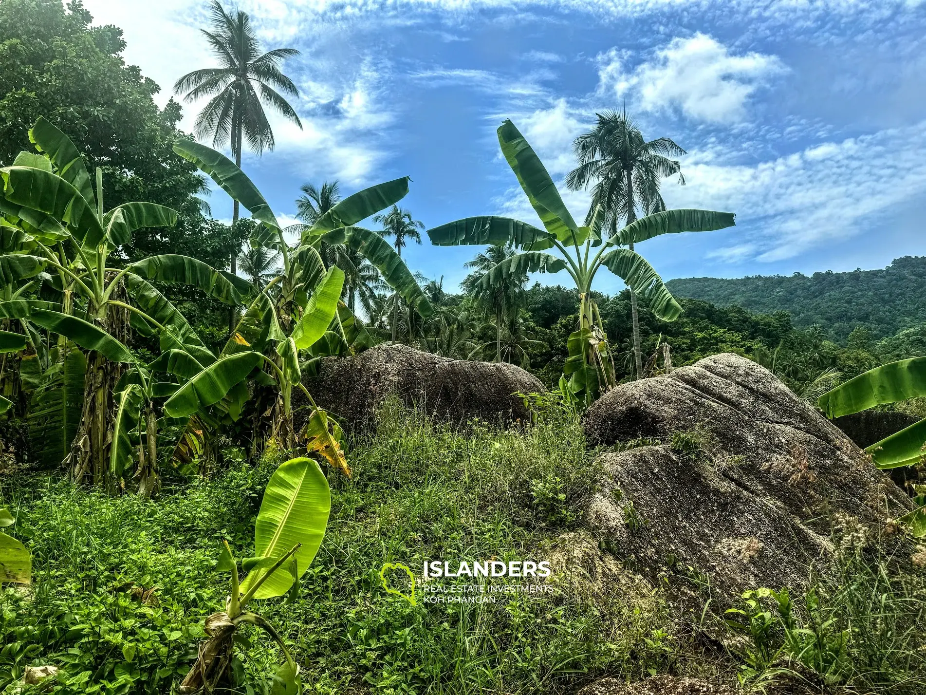 Amazing panorama Sea View land with rocks and fruit trees in quiet area