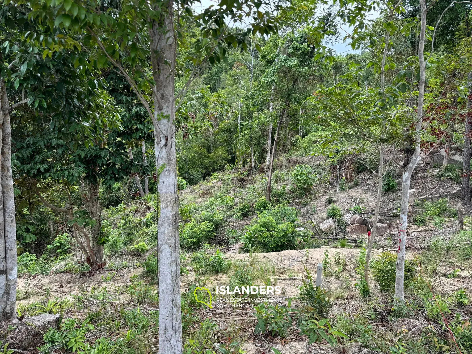 Atemberaubendes Grundstück mit Meerblick in Chalok Baan Kao 