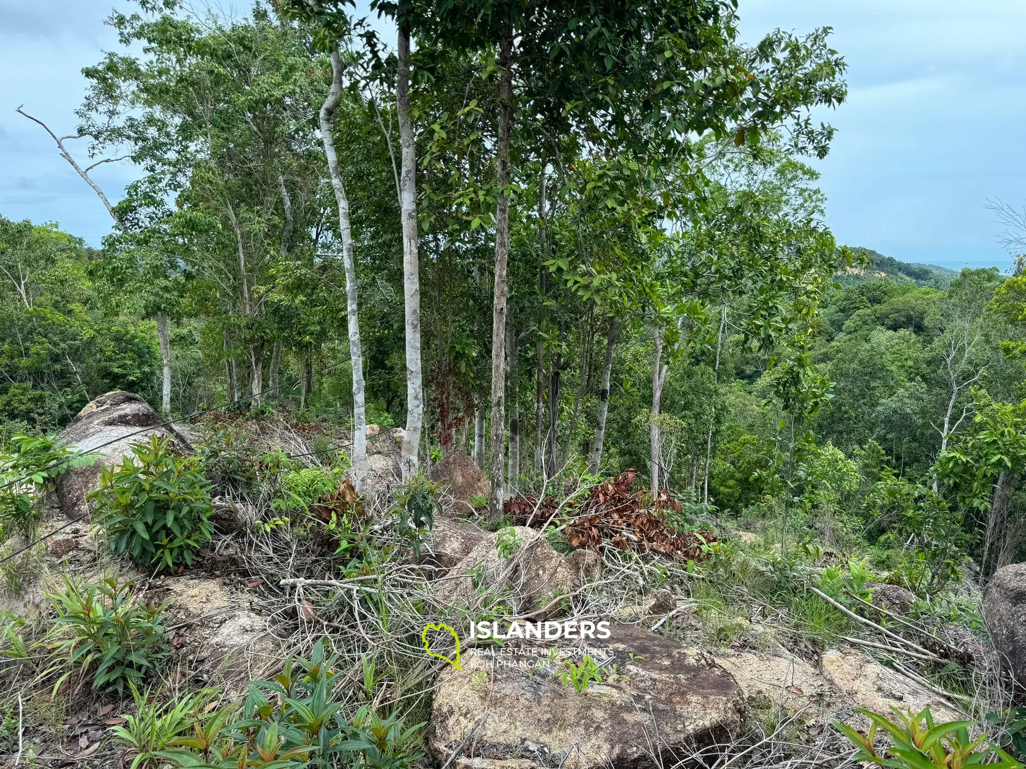 Atemberaubendes Grundstück mit Meerblick in Chalok Baan Kao 