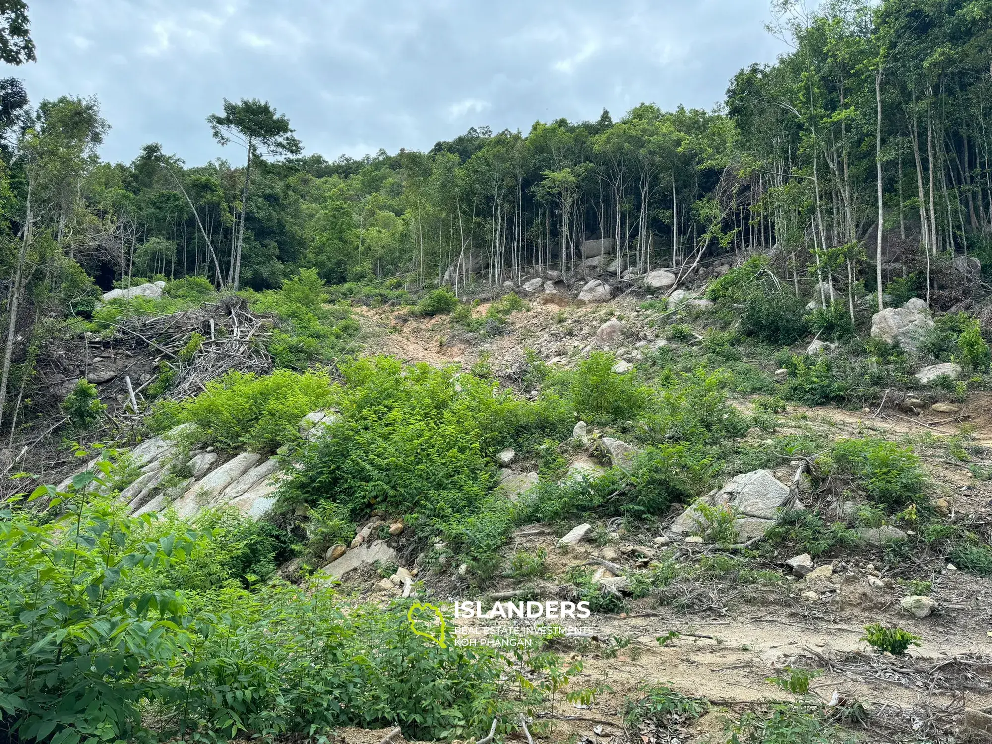 Terrain moitié vue montagne et moitié vue mer pour votre bon projet 