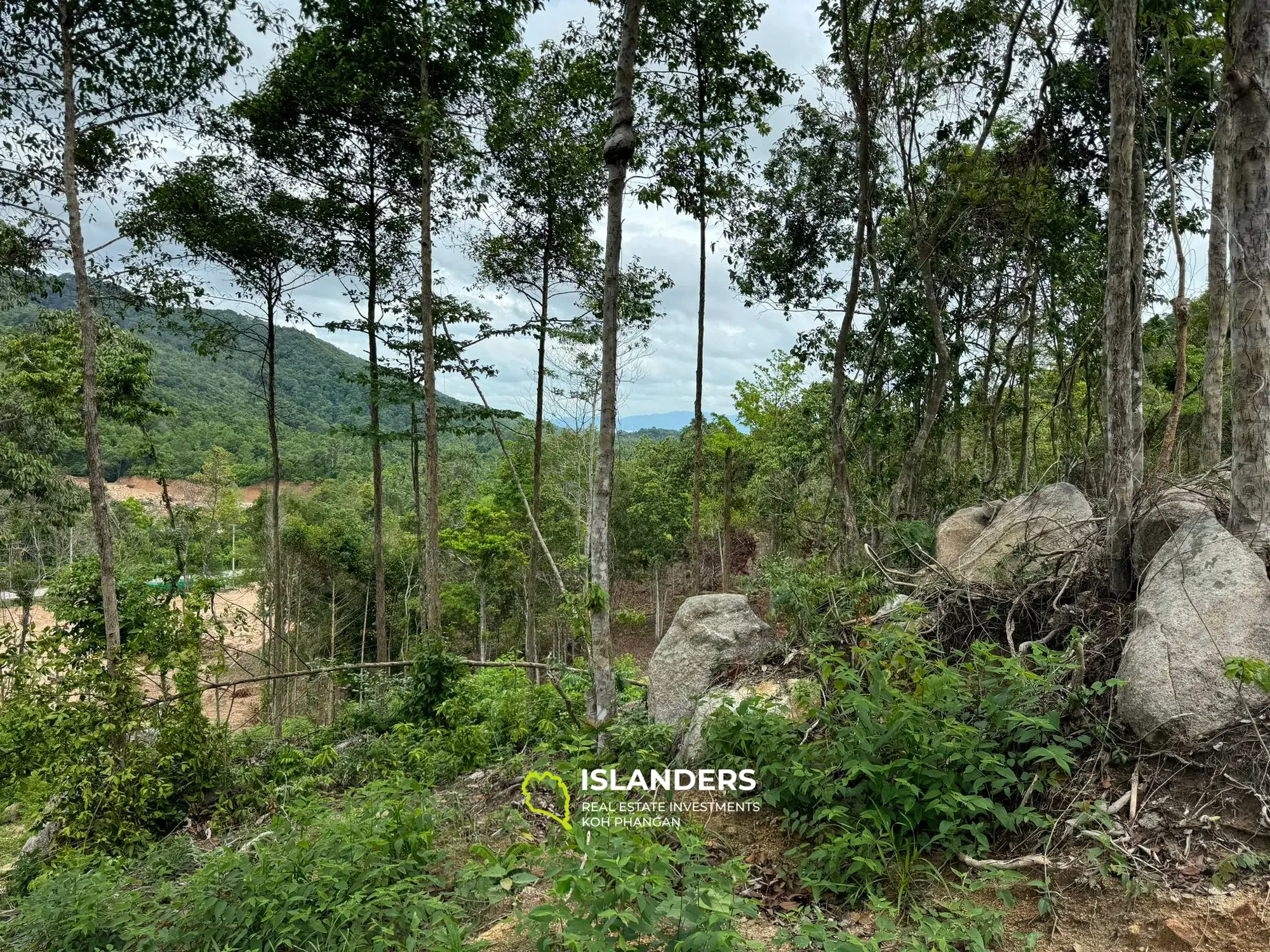 Terrain moitié vue montagne et moitié vue mer pour votre bon projet 