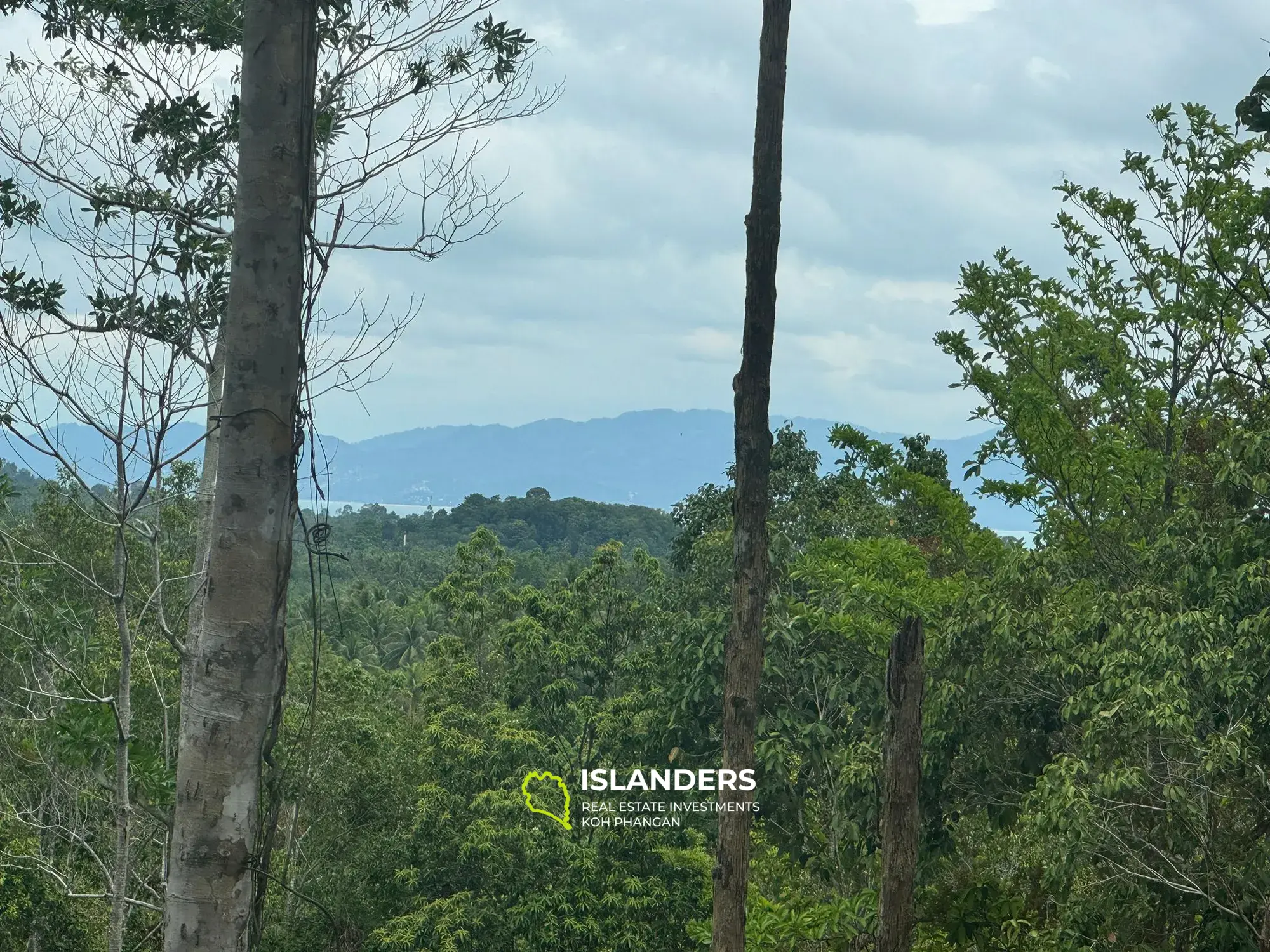 Terrain moitié vue montagne et moitié vue mer pour votre bon projet 