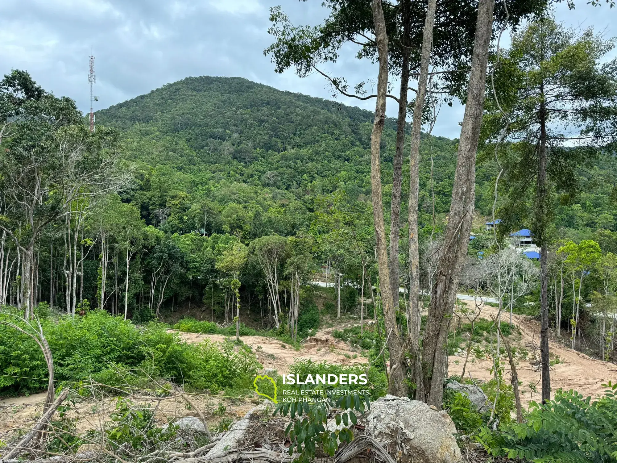 Terrain moitié vue montagne et moitié vue mer pour votre bon projet 