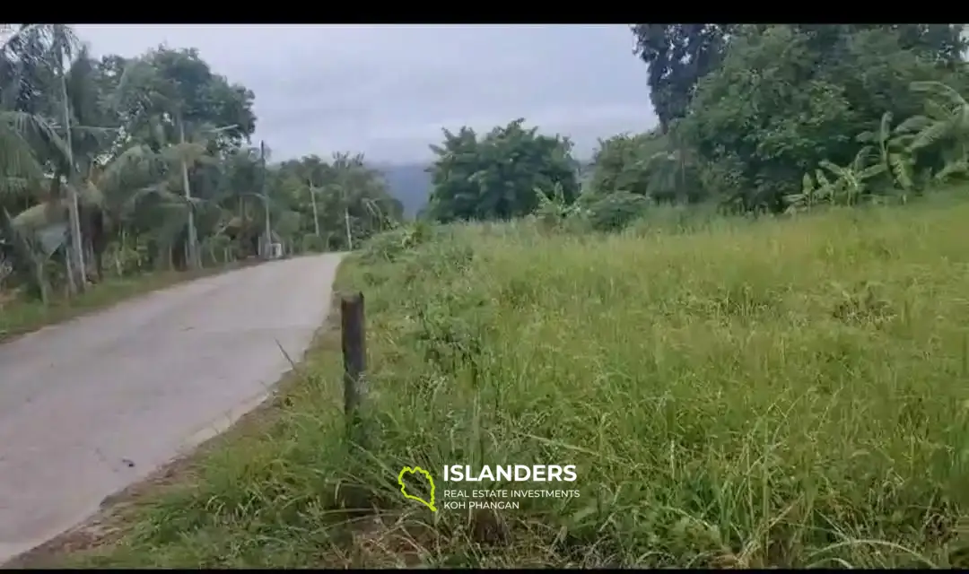 Terre de la jungle à Hinkong 