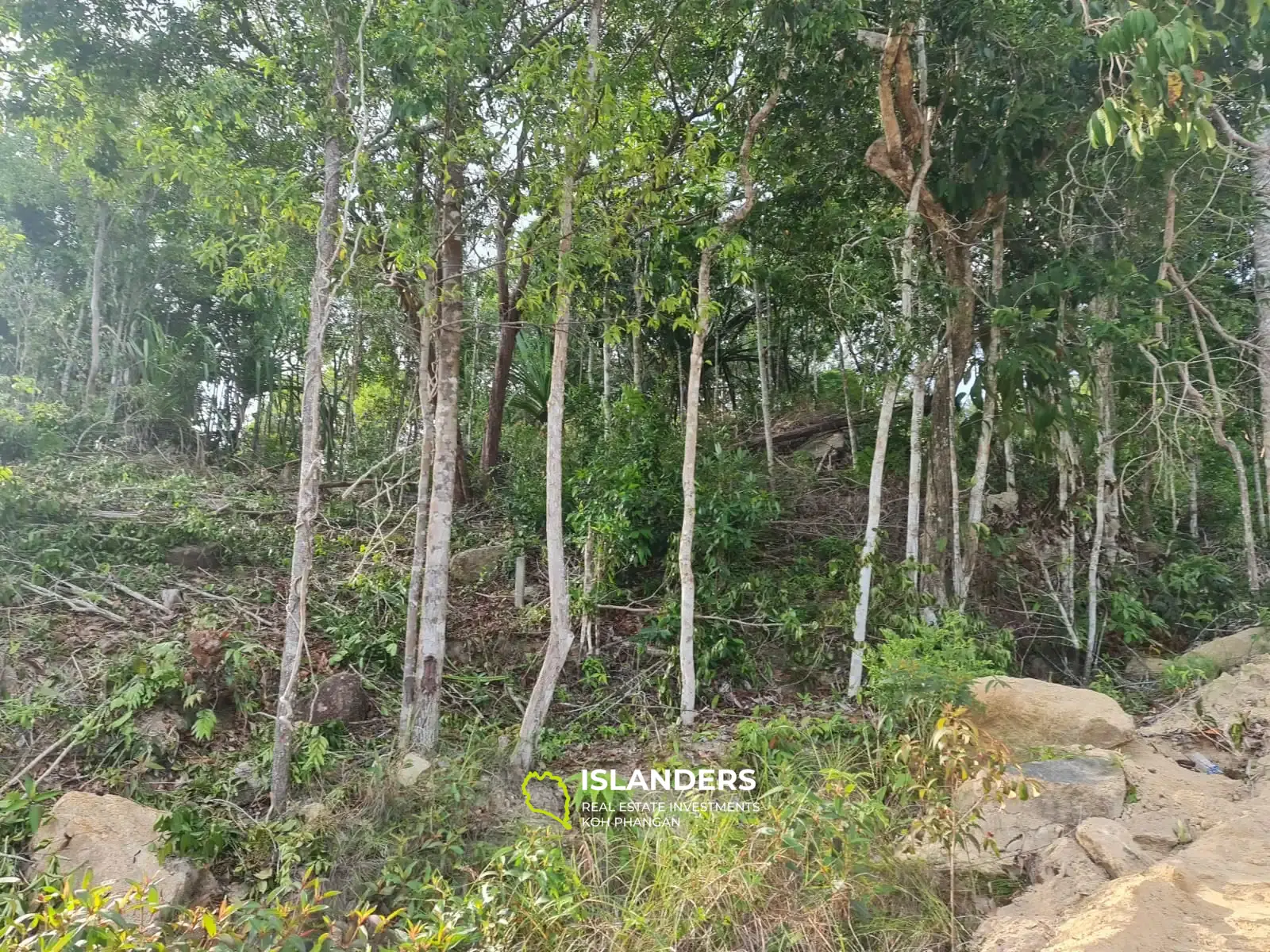 Grundstück mit Meerblick in Chalok Baan Kao