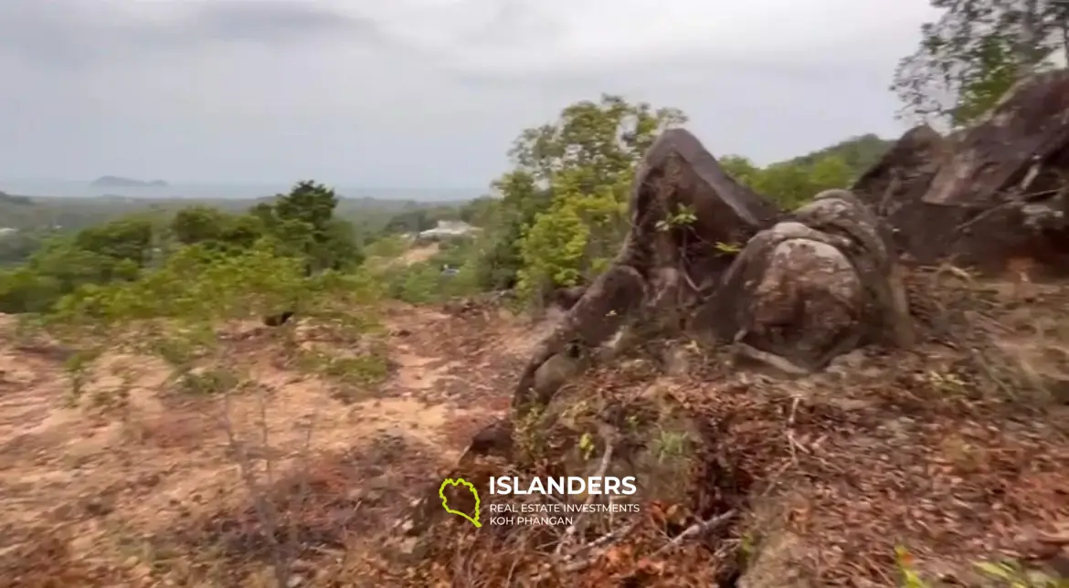 Vue imprenable sur la mer à Chalok Baan Kao