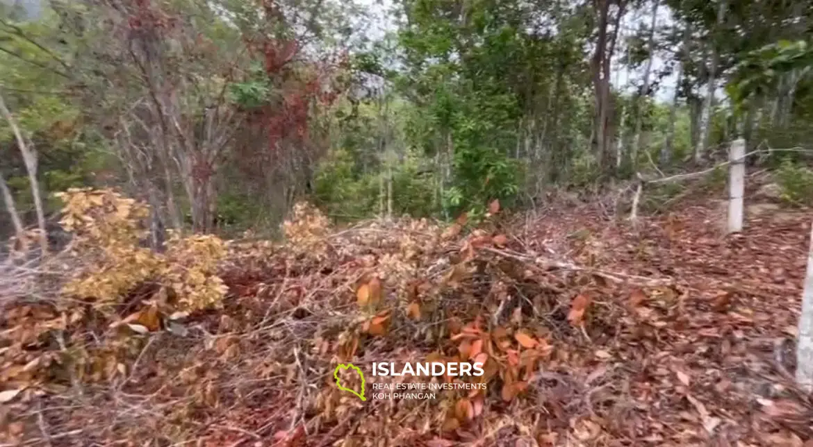 Atemberaubender Meerblick in Chalok Baan Kao