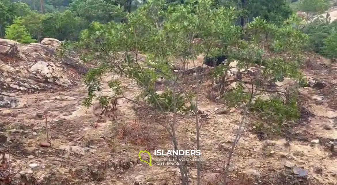 Atemberaubender Meerblick in Chalok Baan Kao