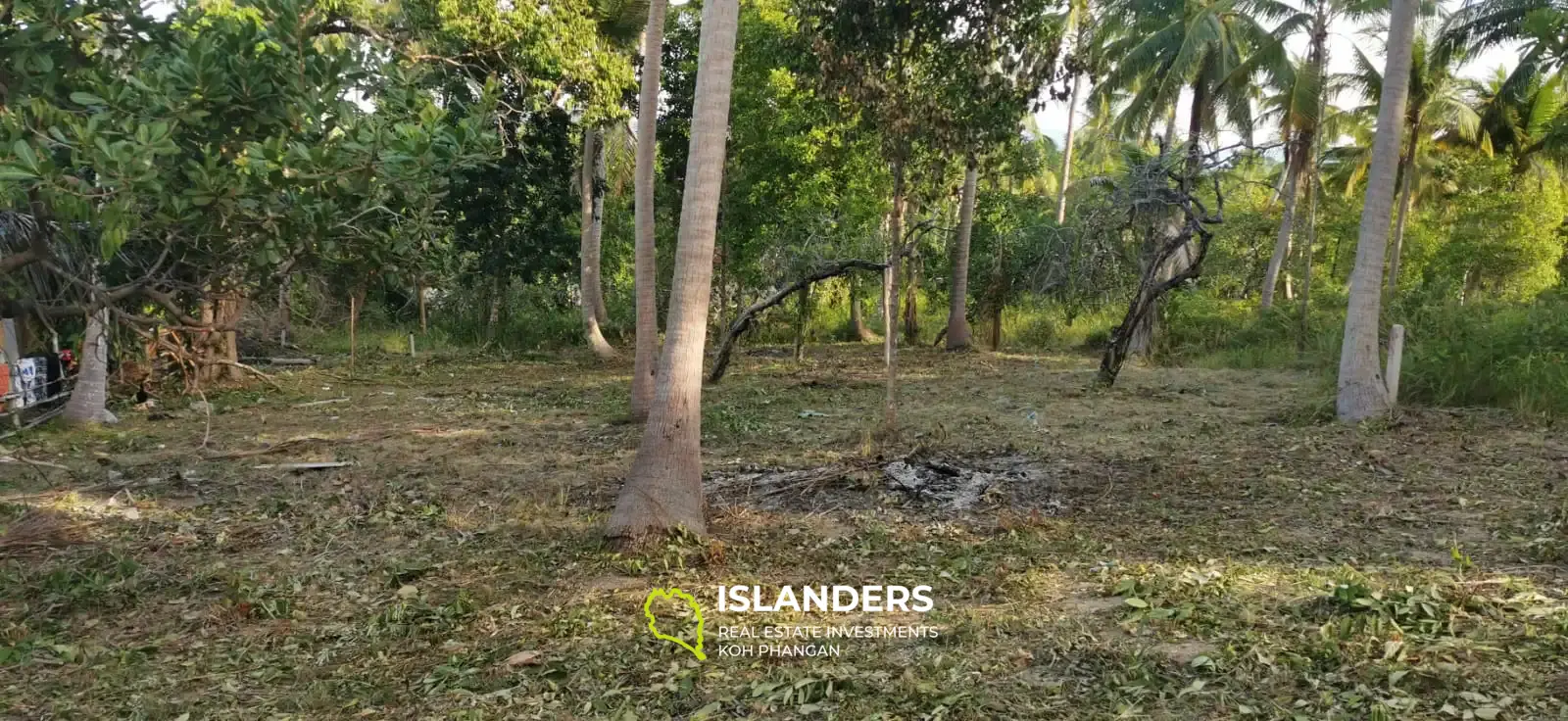 Flat land in Coconut Lane