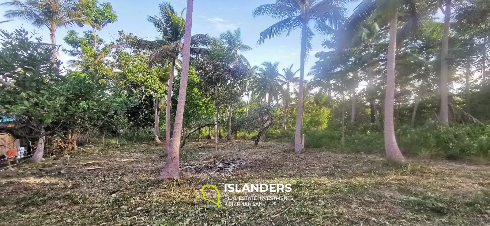 Flaches Land in Coconut Lane