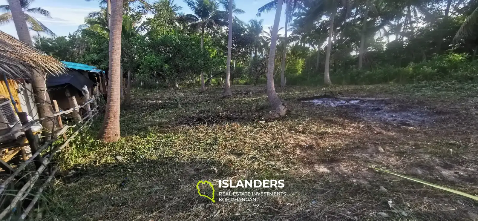 Flaches Land in Coconut Lane