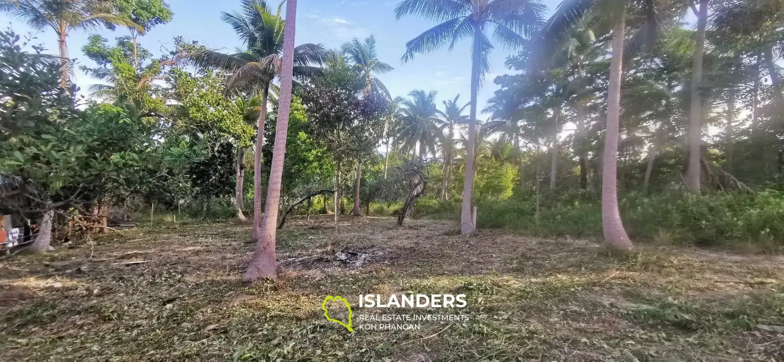 Flaches Land in Coconut Lane