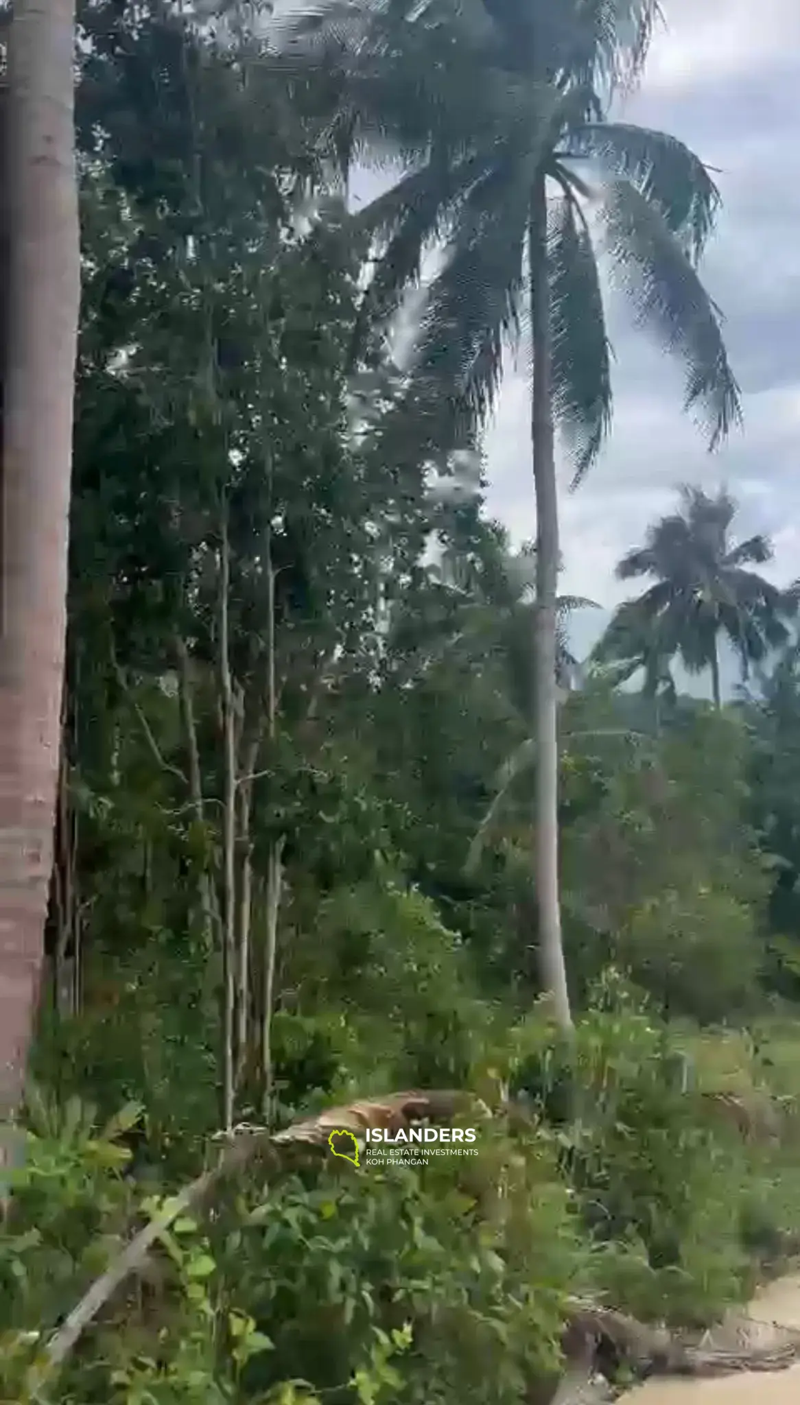 Kleines Grundstück mit herrlichem Meerblick in Haad Salad