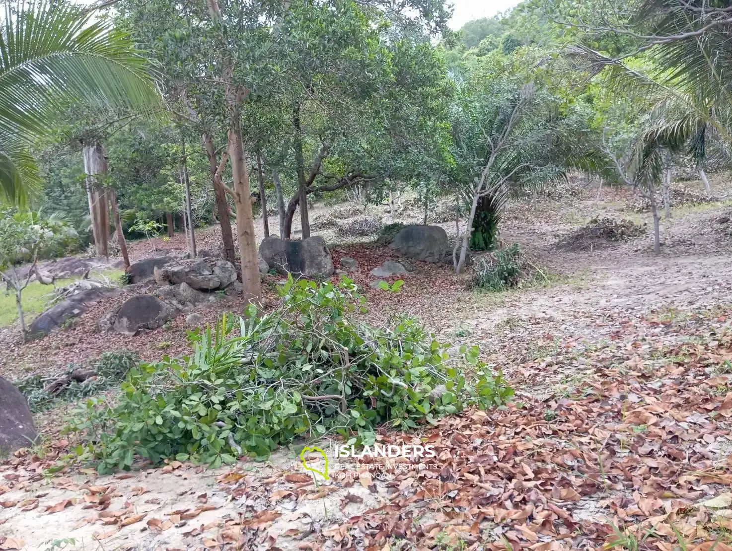 Charmant terrain à proximité des cascades de Phaeng