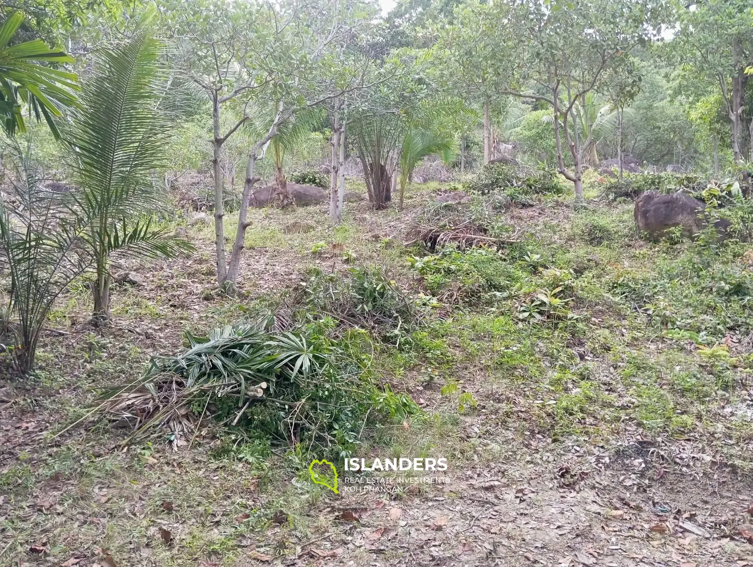 Charmant terrain à proximité des cascades de Phaeng