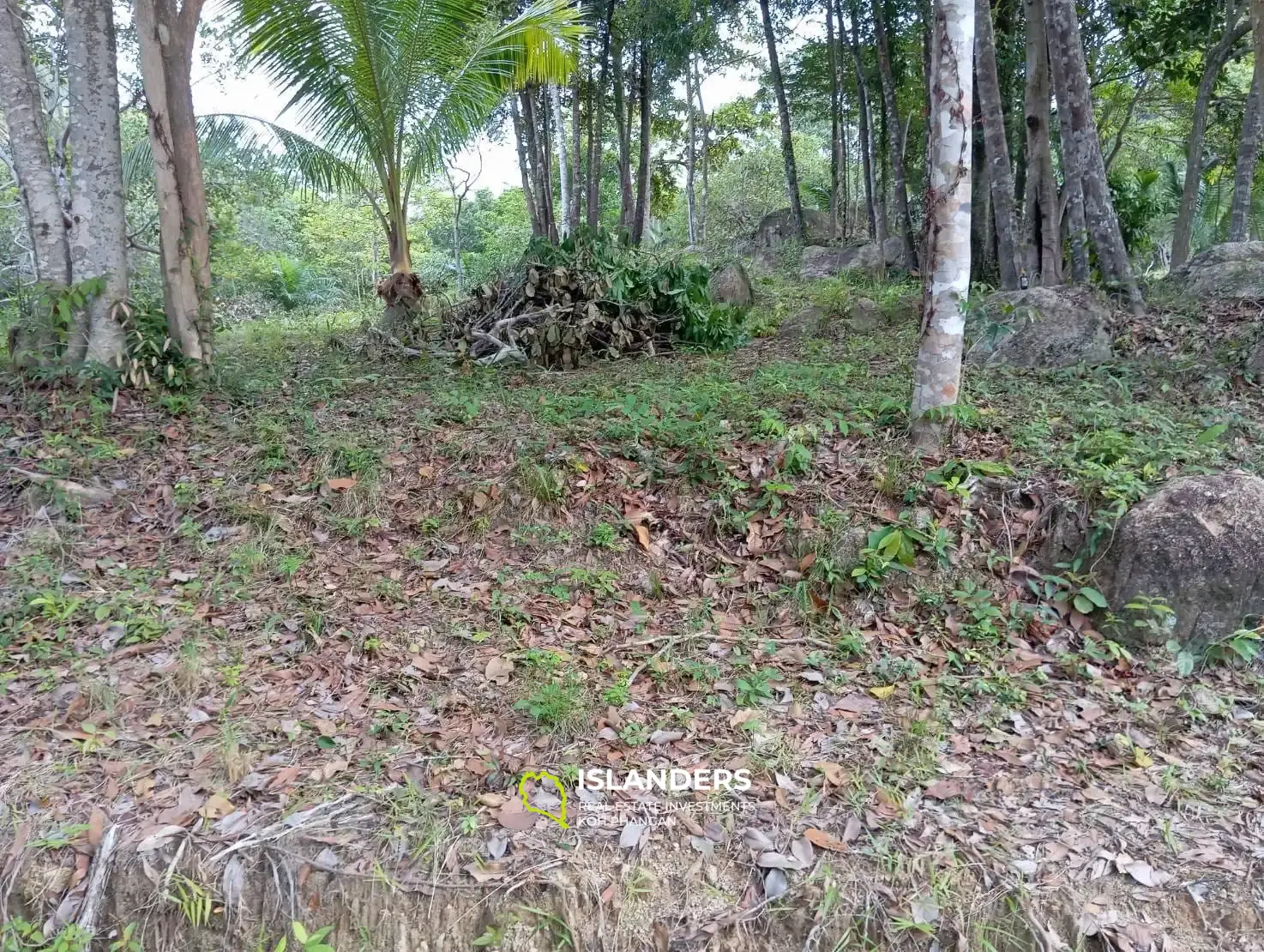 Charmant terrain à proximité des cascades de Phaeng