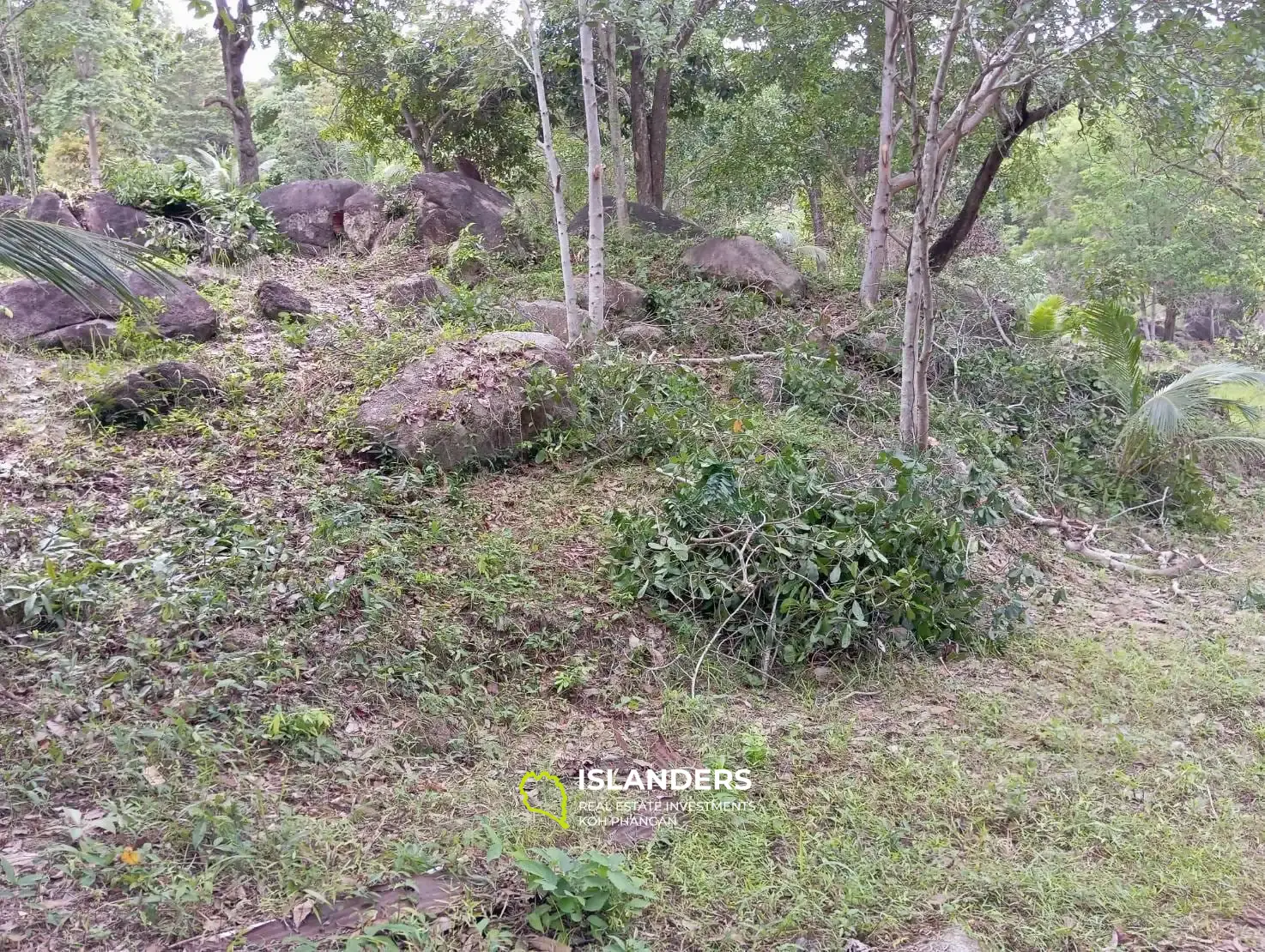 Charmant terrain à proximité des cascades de Phaeng