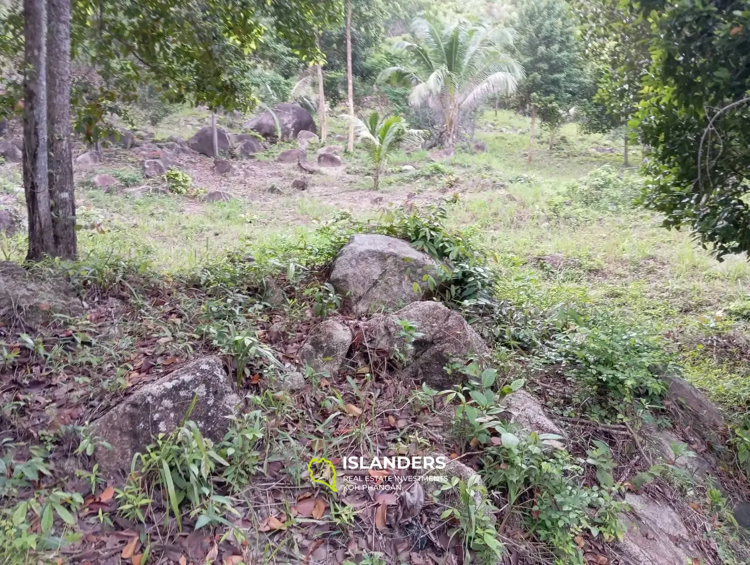 Charmant terrain à proximité des cascades de Phaeng