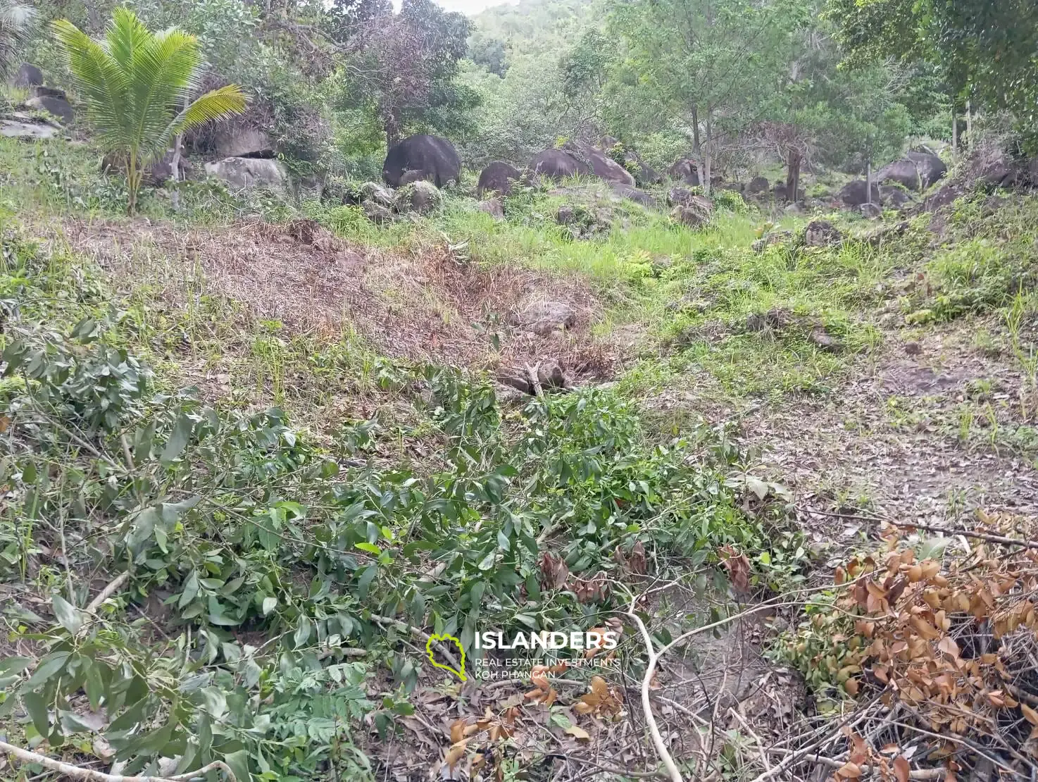 Charmant terrain à proximité des cascades de Phaeng