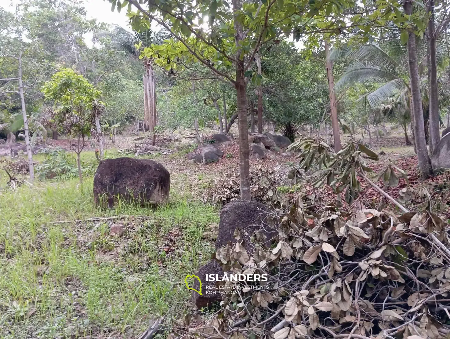 Charming land near Phaeng waterfalls