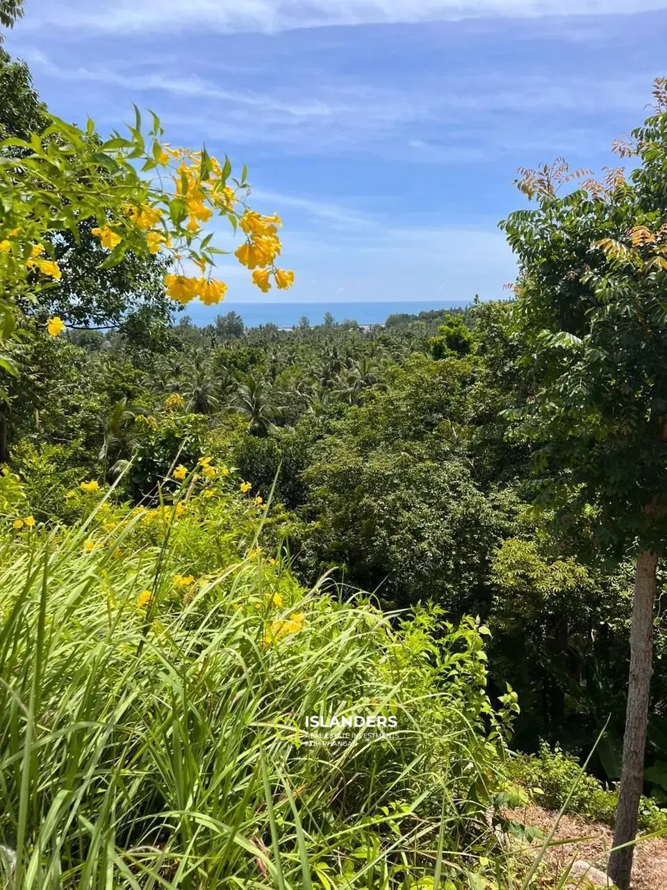 Terrain avec vue sur la mer dans la région de Chaloklum