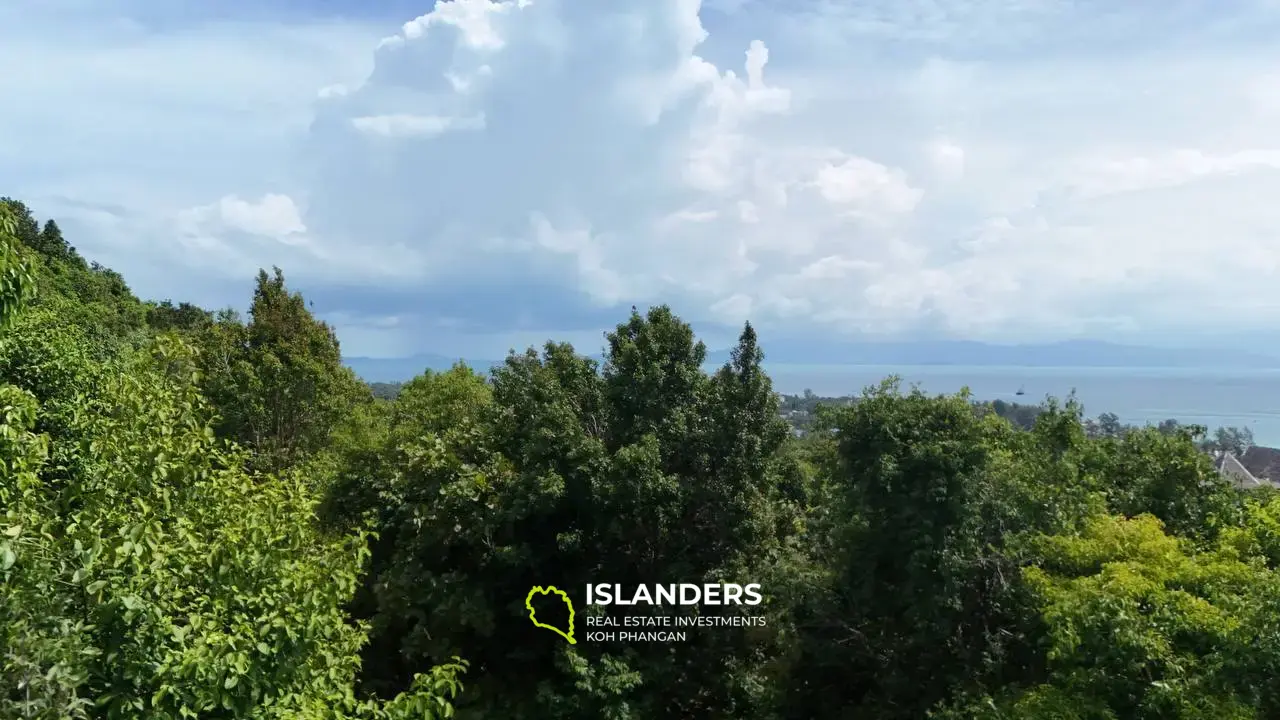 Superbe terrain avec vue sur la mer à Naiwok