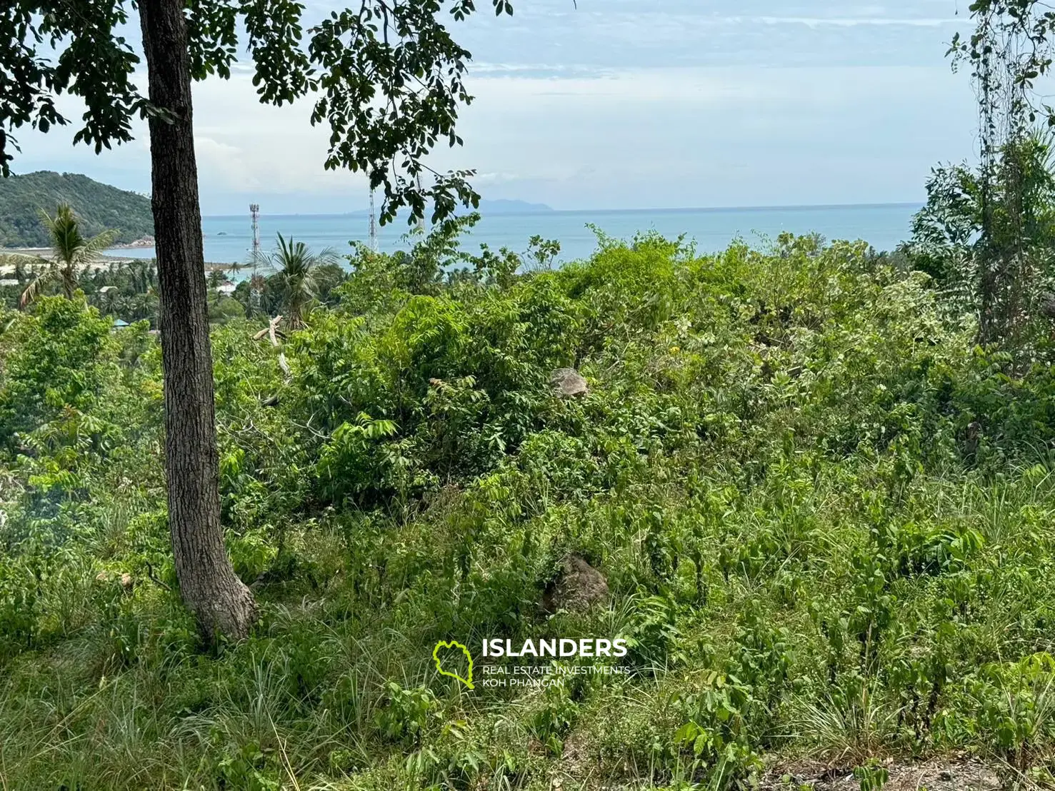 Большой участок земли в Чалокламе с видом на море