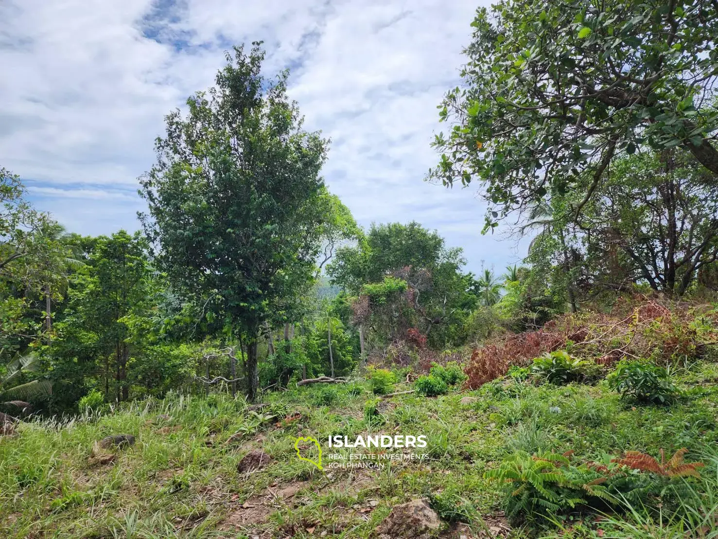 Big land in Chaloklum with seaview