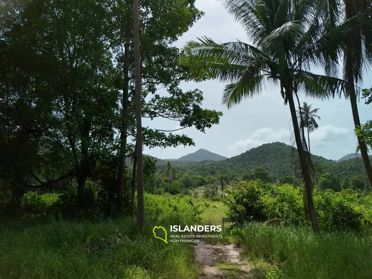 Terrain plat avec vue imprenable sur les montagnes