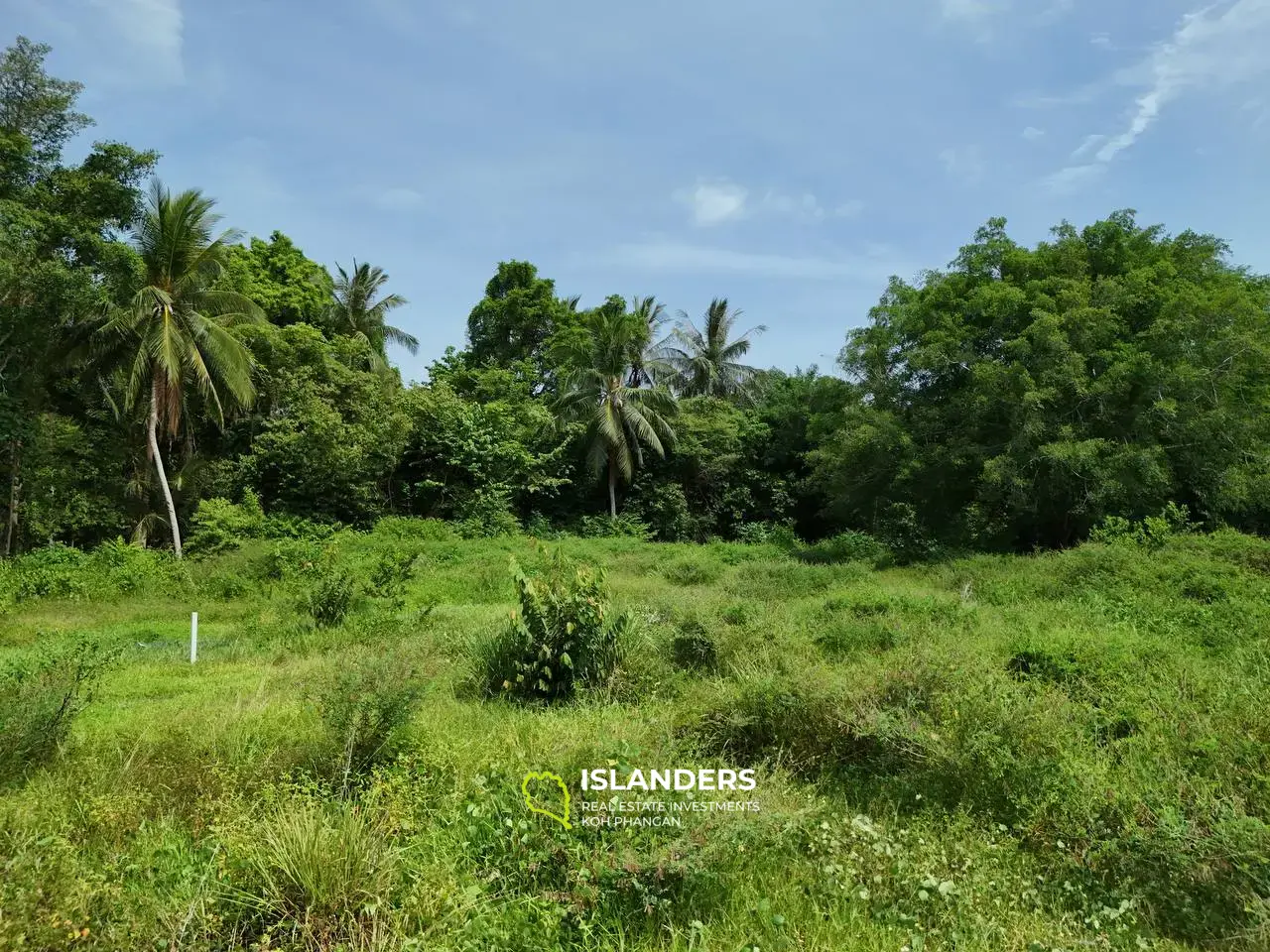 Terrain plat avec vue imprenable sur les montagnes