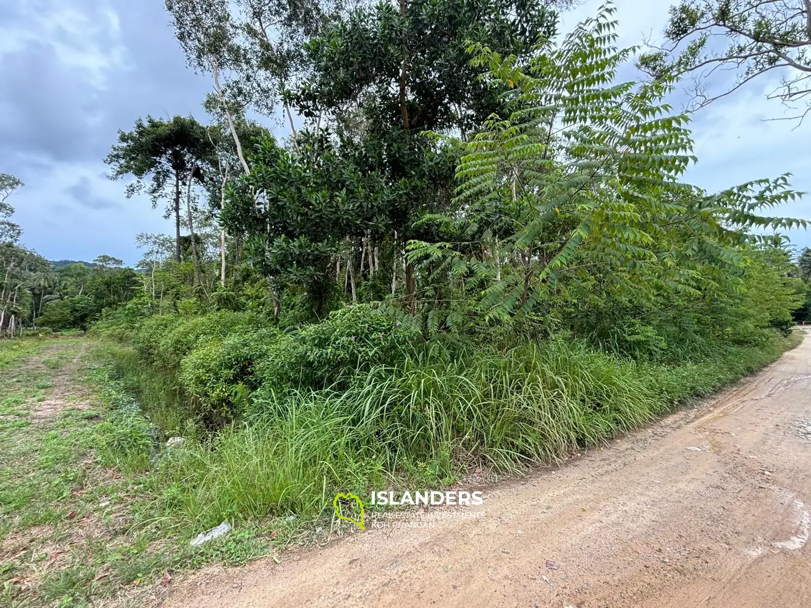 Prime Land for Sale in Koh Phangan – 5 Rai Total (1 Rai + 4 Rai)