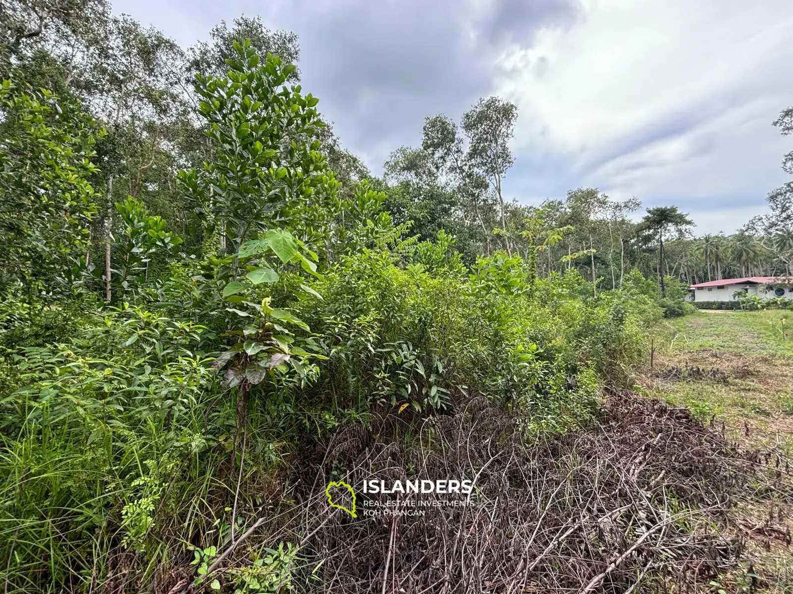 Prime Land for Sale in Koh Phangan – 5 Rai Total (1 Rai + 4 Rai)