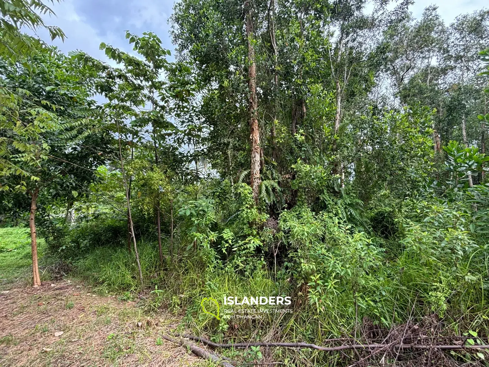 Prime Land for Sale in Koh Phangan – 5 Rai Total (1 Rai + 4 Rai)