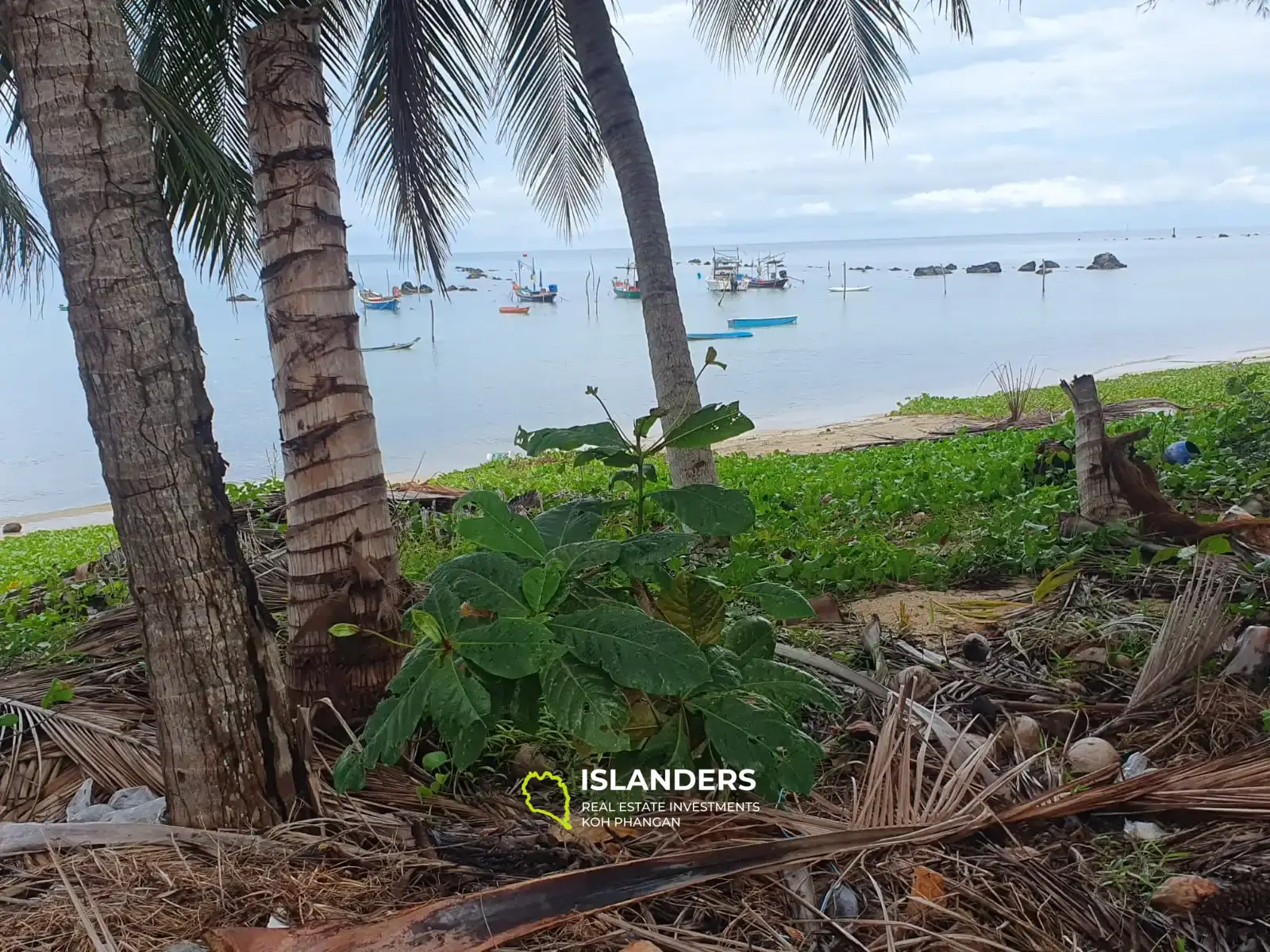 Terrain en bord de mer à Koh Samui Lamai à vendre 472 m²