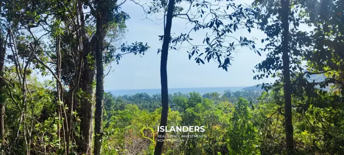 Wunderschönes Meeresland 40 Rai auf Chaloklum