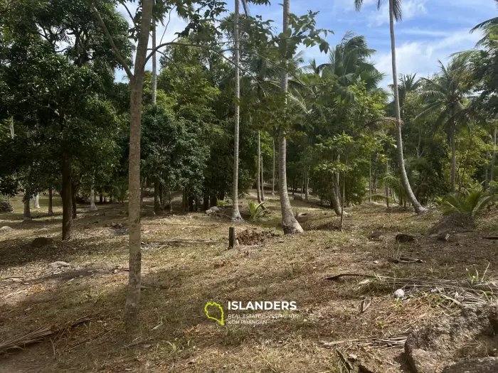 Terrain avec vue sur la jungle à Madua Wan 17 Rai