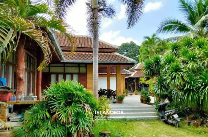 3 Bedroom House on 4 Rai land at Nathon for Sale