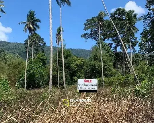 Land with Mountain View in Lamai for Sale